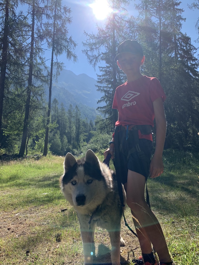 moment douceur enfant et chiens lors de la Cani randonnée