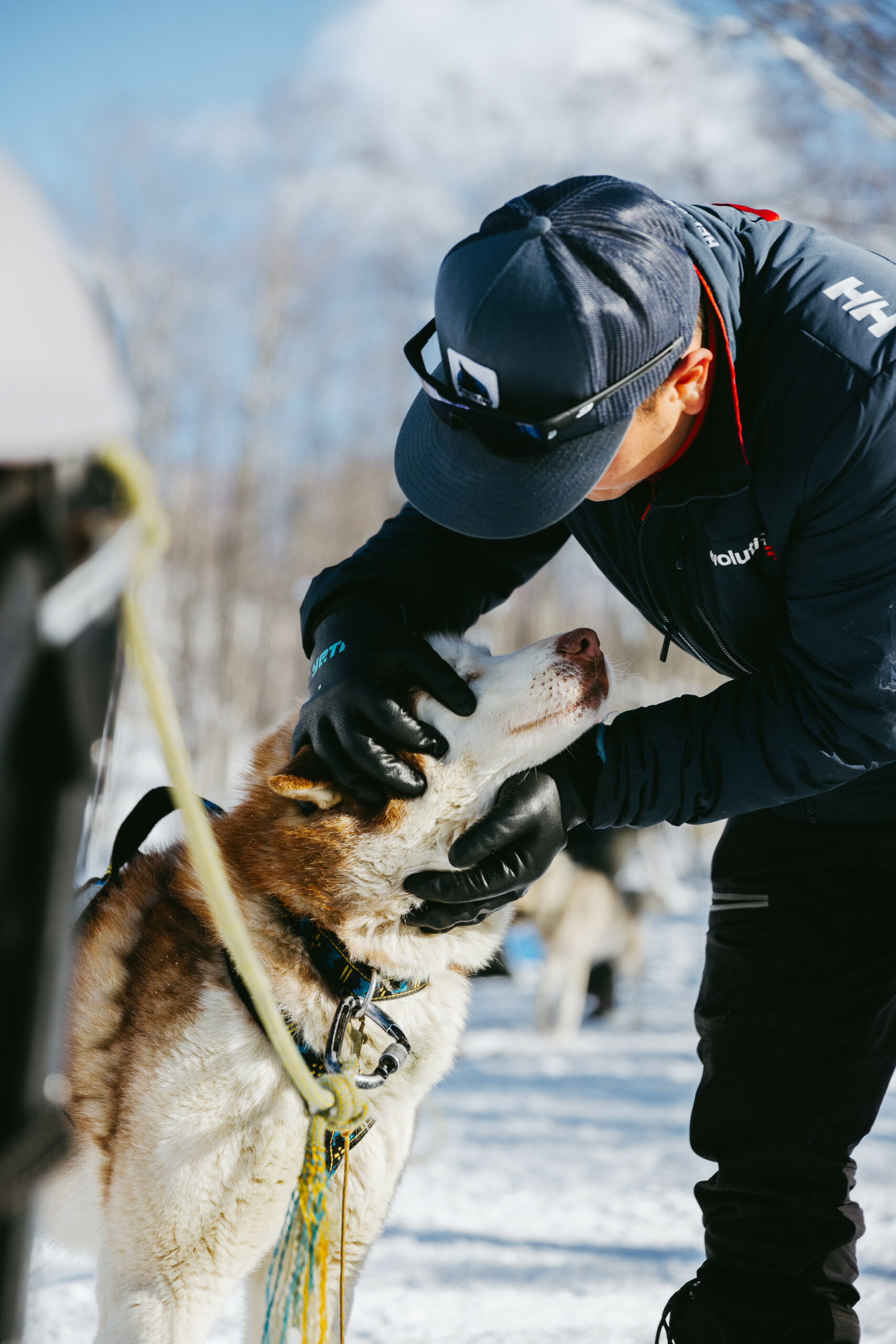 luc chien de traineau megeve
